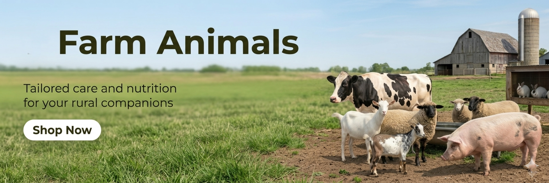 Farm Animals​